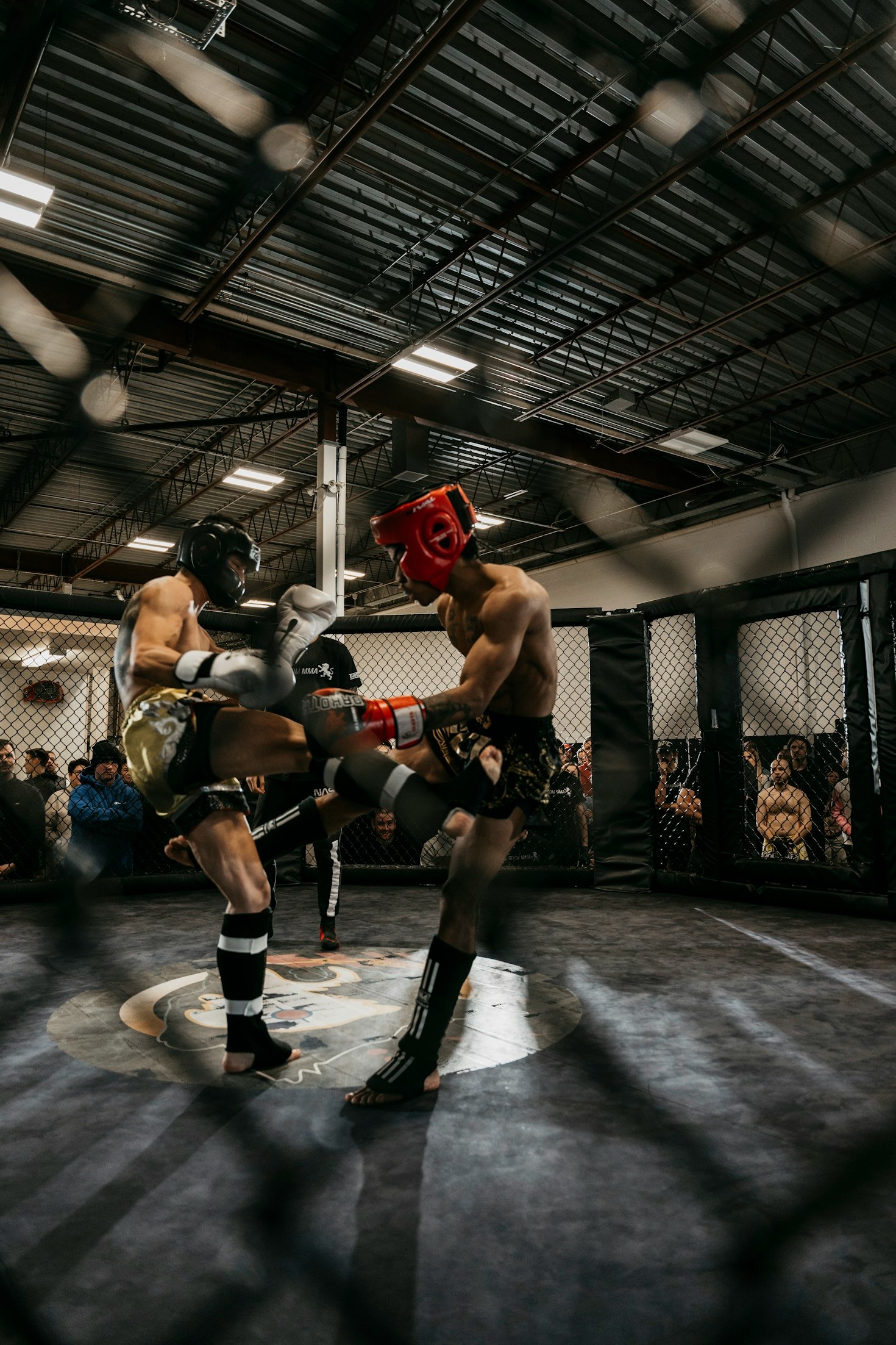 Behind the Scenes of MMA Trials: What You Need to Know